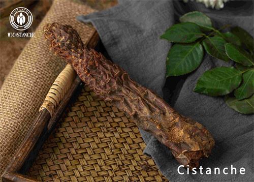 cistanche supplment to boost immune system cistanche supplment to boost immune system