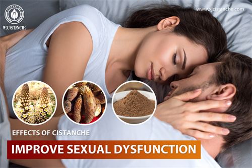 Cistanche improve Kidney Function