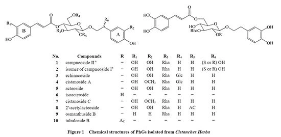 figure 1 figure 1
