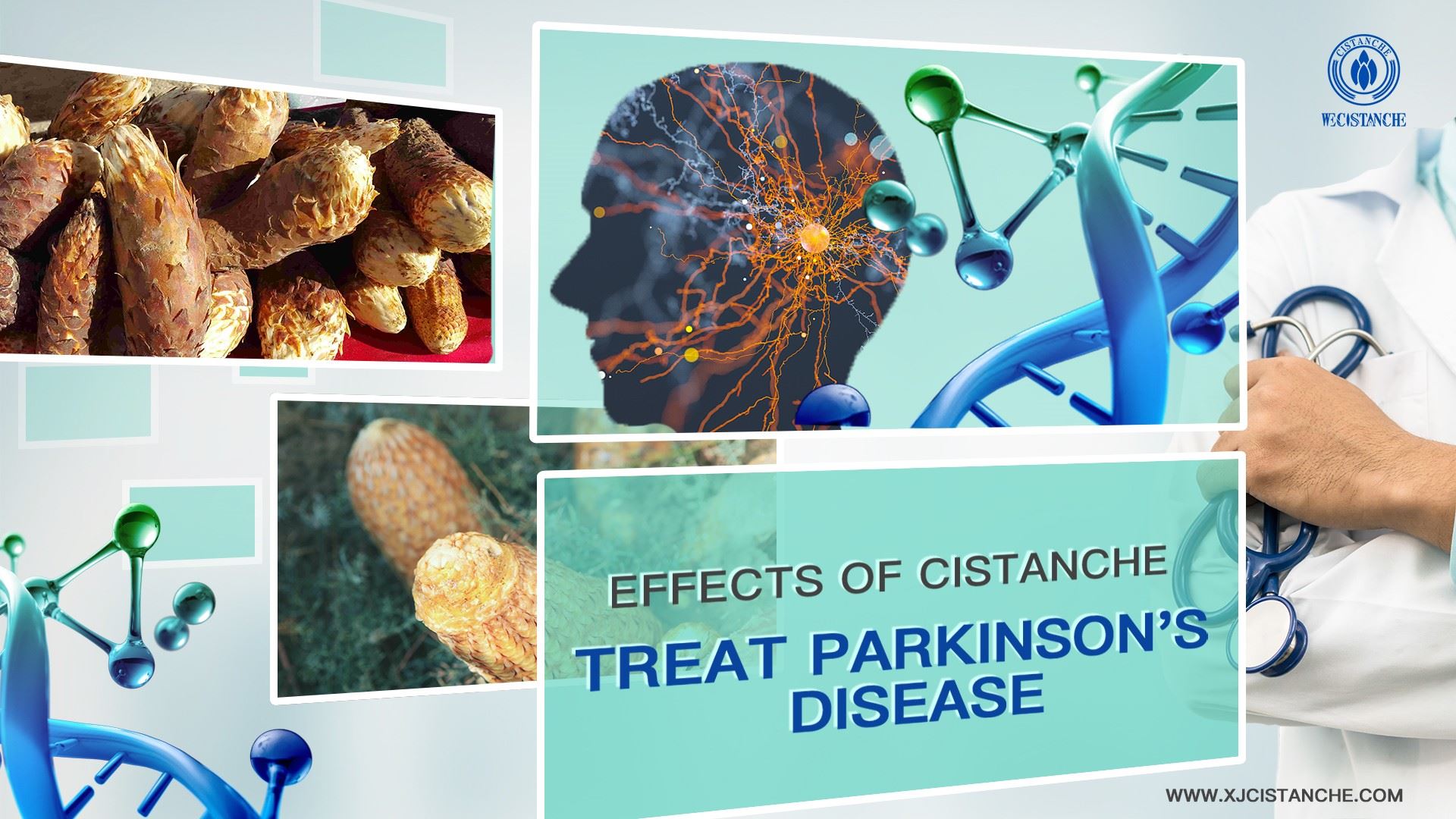 neuroprotection effect of cistanche
