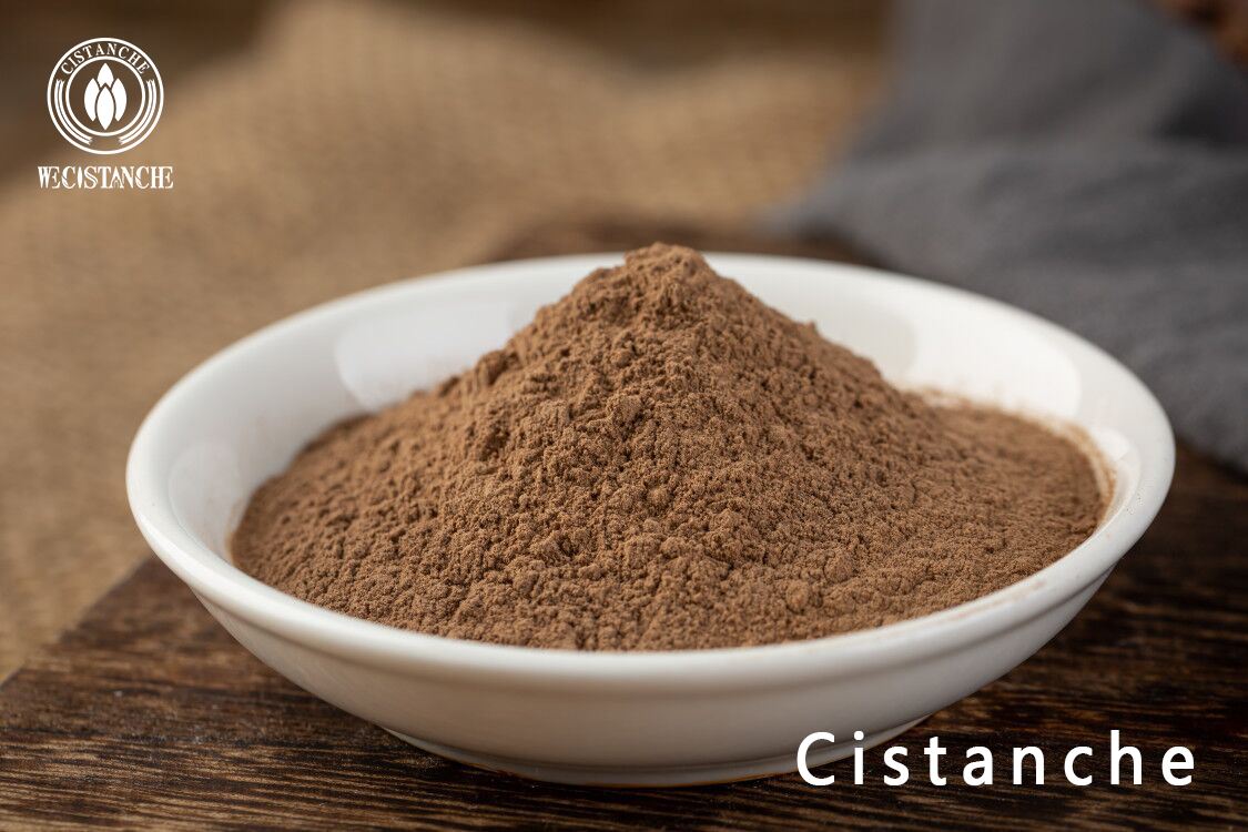 Cistanche tubulosa extract Cistanche tubulosa extract