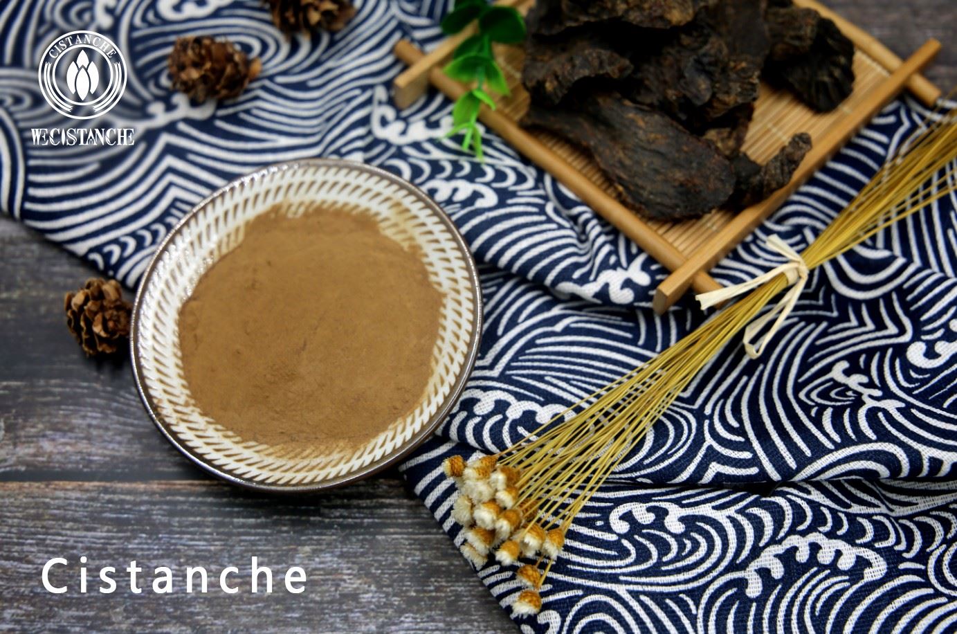 cistanche natural extract cistanche natural extract