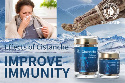 CISTANCHE SUPPLEMENT CISTANCHE SUPPLEMENT