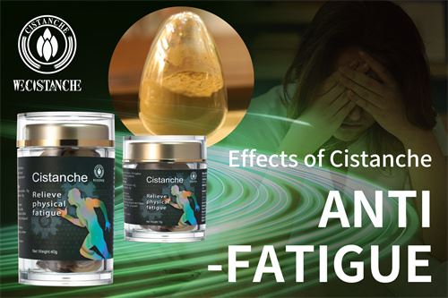 CISTANCHE SUPPLEMENT CISTANCHE SUPPLEMENT