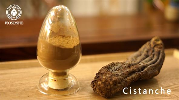 Cistanche extract Cistanche extract