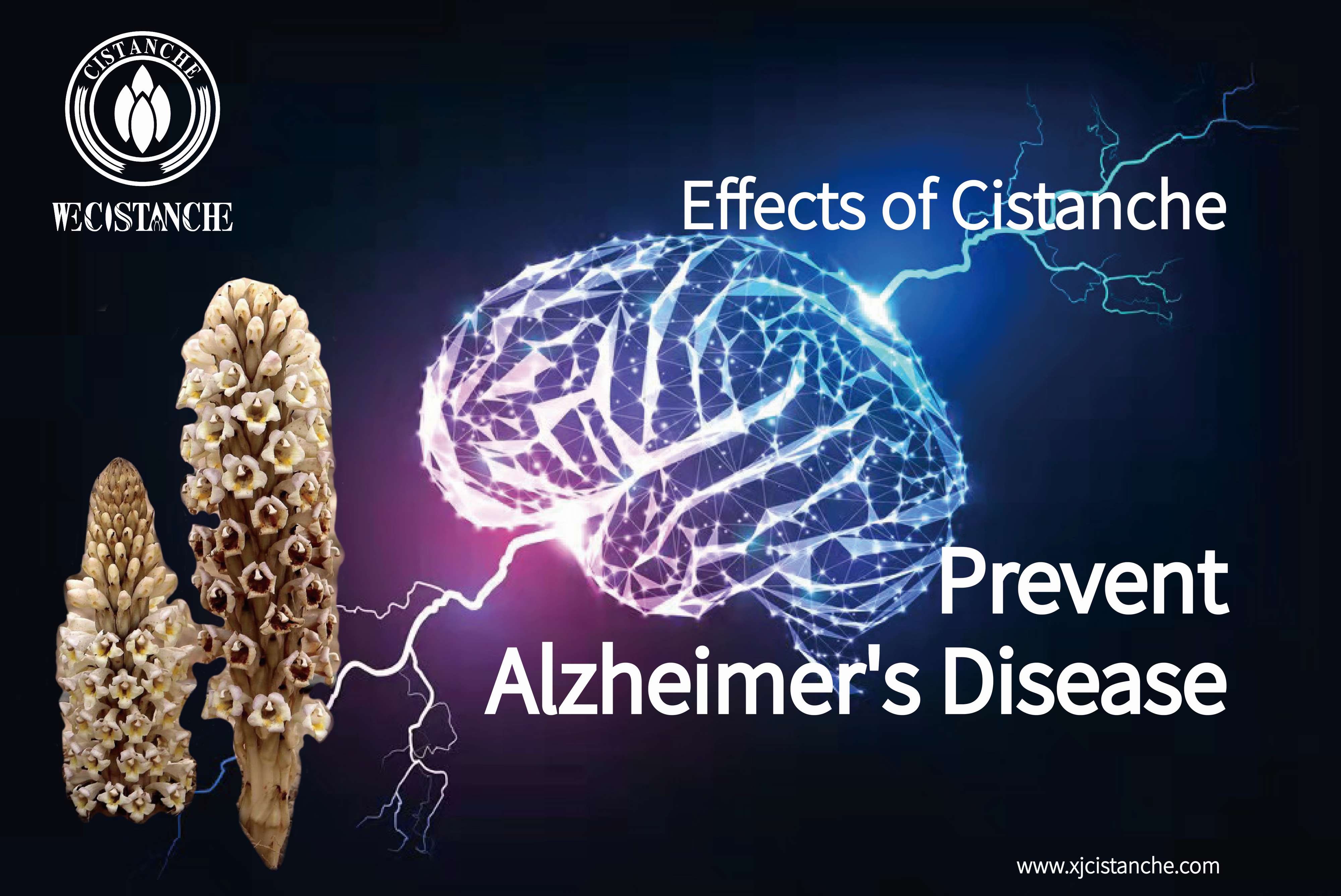 how to prevent neuroinflammation how to prevent neuroinflammation