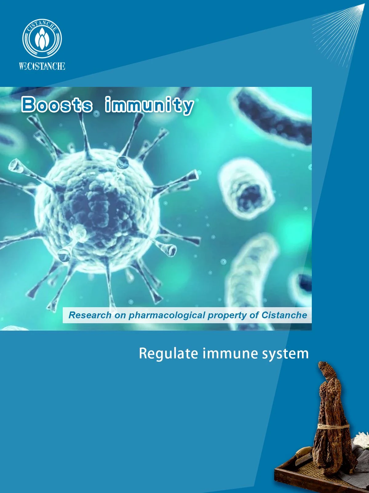 cistanche improve immunity