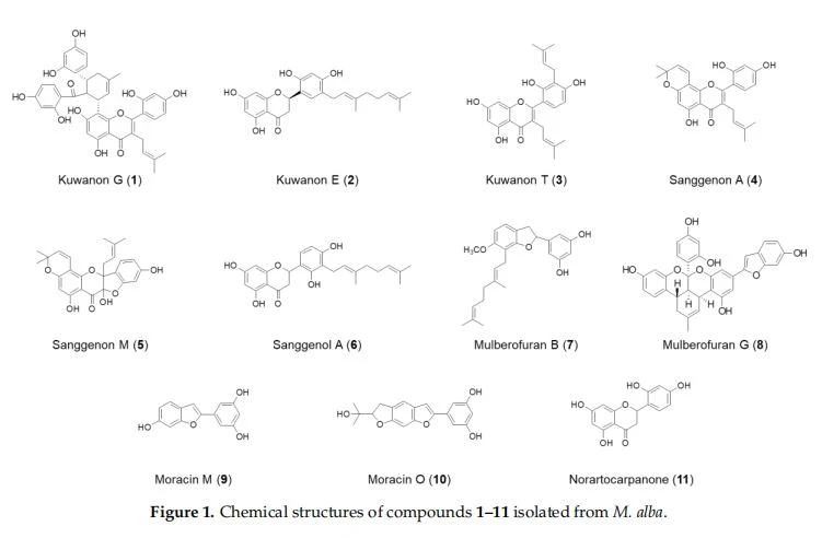 Chemical structures of compounds 1–11 isolated from M. alba