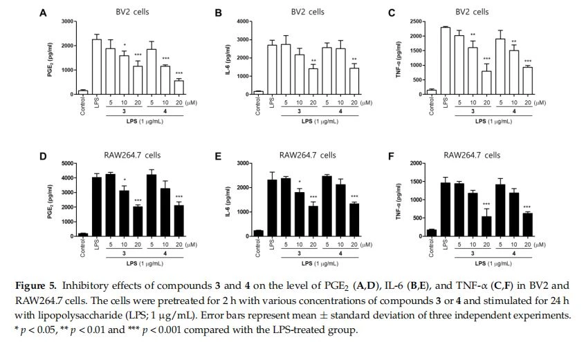  Inhibitory effects of compounds 3 and 4 on the level of PGE2 (A and D), IL-6 (B and E), and TNF-α (C and F) in  BV2 and RAW264.7 cells. The cells were pretreated for 2 h with various concentrations of compounds 3 or 4 and stimulated  for 24 h with lipopolysaccharide (LPS; 1 μg/mL). Error bars represent mean ± standard deviation of three independent  experiments. * p < 0.05, ** p < 0.01 and *** p < 0.001 compared with the LPS-treated group. Figure 4. Protein expression levels of inducible nitric oxide synthase (iNOS) in lipopolysaccharide (LPS)-stimulated BV2 (A) and RAW264.7 (C) cells. The cells were pretreated for 2 h with various concentrations of compounds 3 or 4 and stimulated for 24 h with LPS (1 µg/mL). Representative blots from three independent experiments are shown. Immunoblots were quantified using the ImageJ software. Band intensities are normalized to that of β-actin (B,D). Error bars represent mean ± standard deviation of three independent experiments. * p < 0.05, ** p < 0.01, and *** p < 0.001 compared with the LPS-treated group. Molecules 2021, 26, x FOR PEER REVIEW 5 of 16 Figure 3. Inhibitory effects of compounds 1–11 on nitrite production in BV2 (A) and RAW264.7 (B) cells. The cells were  pretreated for 2 h with concentrations of compounds and stimulated for 24 h with lipopolysaccharide (LPS; 1 μg/mL).  Error bars represent mean ± standard deviation of three independent experiments. * p < 0.05 and *** p < 0.001 compared  with the LPS-treated group. Figure 4. Protein expression levels of inducible nitric oxide synthase (iNOS) in lipopolysaccharide (LPS)-stimulated BV2  (A) and RAW264.7 (C) cells. The cells were pretreated for 2 h with various concentrations of compounds 3 or 4 and stimulated for 24 h with LPS (1 μg/mL). Representative blots from three independent experiments are shown. Immunoblots  were quantified using the ImageJ software. Band intensities are normalized to that of β-actin (B, D). Error bars represent  mean ± standard deviation of three independent experiments. * p < 0.05, ** p < 0.01, and *** p < 0.001 compared with the  LPS-treated group. Figure 5. Inhibitory effects of compounds 3 and 4 on the level of PGE2 (A and D), IL-6 (B and E), and TNF-α (C and F) in  BV2 and RAW264.7 cells. The cells were pretreated for 2 h with various concentrations of compounds 3 or 4 and stimulated  for 24 h with lipopolysaccharide (LPS; 1 μg/mL). Error bars represent mean ± standard deviation of three independent  experiments. * p < 0.05, ** p < 0.01 and *** p < 0.001 compared with the LPS-treated group. Figure 5. Inhibitory effects of compounds 3 and 4 on the level of PGE2 (A,D), IL-6 (B,E), and TNF-α (C,F) in BV2 and RAW264.7 cells. The cells were pretreated for 2 h with various concentrations of compounds 3 or 4 and stimulated for 24 h with lipopolysaccharide (LPS; 1 µg/mL). Error bars represent mean ± standard deviation of three independent experiments. * p < 0.05, ** p < 0.01 and *** p < 0.001 compared with the LPS-treated group