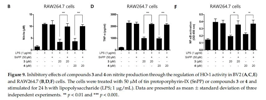 Inhibitory effects of compounds 3 and 4 on nitrite production through the regulation of HO-1 activity in BV2 (A,C,E) and RAW264.7 (B,D,F) cells. The cells were treated with 50 µM of tin protoporphyrin-IX (SnPP) or compounds 3 or 4 and stimulated for 24 h with lipopolysaccharide (LPS; 1 µg/mL). Data are presented as mean ± standard deviation of three independent experiments. ** p < 0.01 and *** p < 0.001