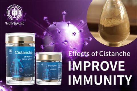 effects of cistanche improve immunity (11)