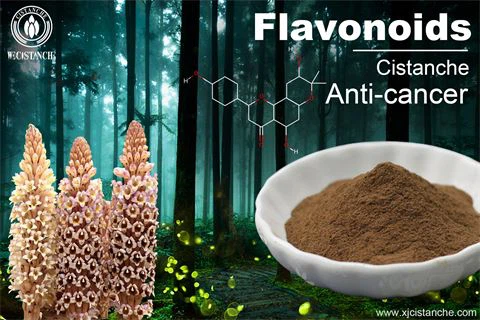 flavonoids anti cancer