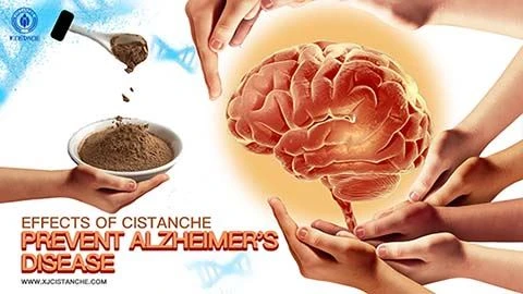 Anti Alzheimer's disease (2)