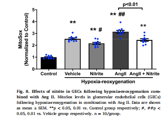 Effects of nitrite in GECs following hypoxia-reoxygenation combined with Ang II. MitoSox levels in glomerular endothelial cells (GECs)  following hypoxia-reoxygenation in combination with Ang II. Data are shown  as mean ± SEM. **p < 0.05, 0.01 vs. Control group respectively; #, ##p < 0.05, 0.01 vs. Vehicle group respectively. n = 10/group