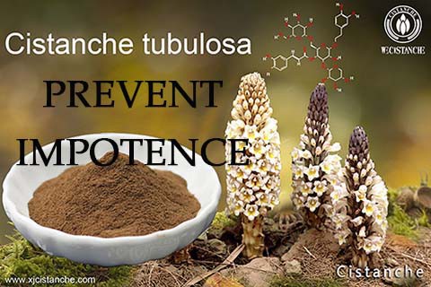 best herbal formulation premature ejaculation