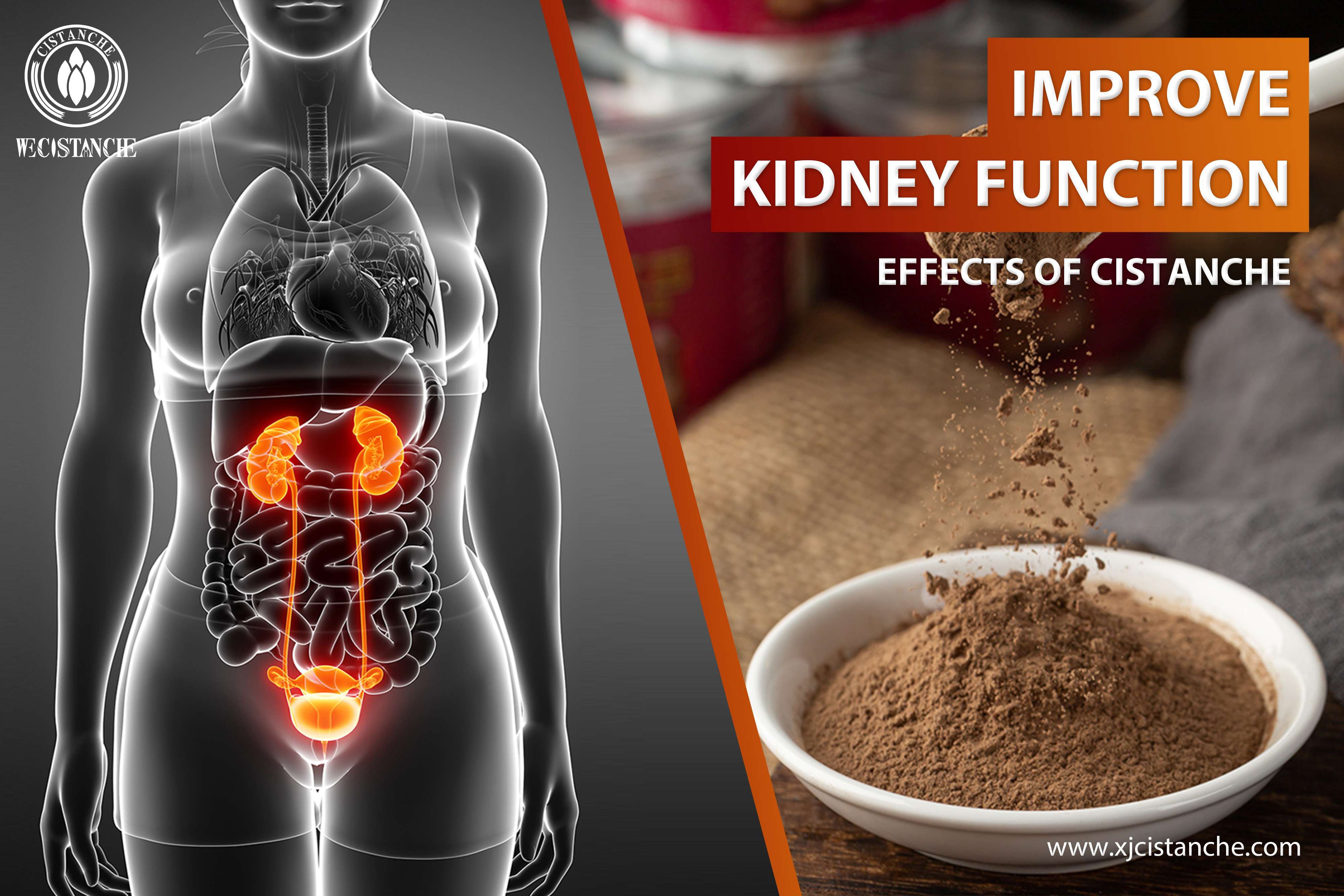 kidney supplement