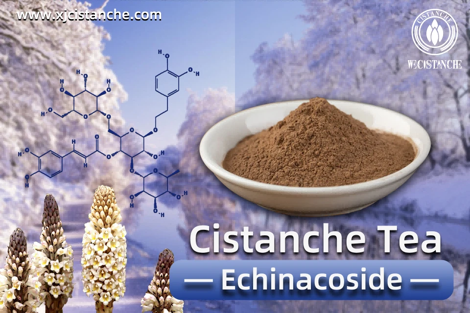 the best Cistanche tea the best Cistanche tea