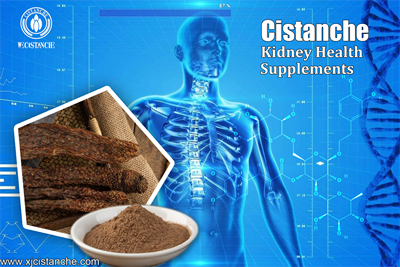 cistanche kidney health supplements
