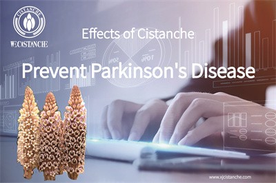 Cistanche benefits