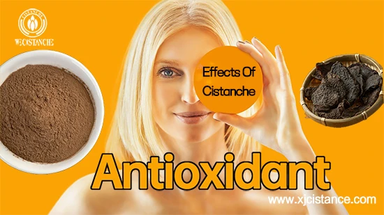 Desert living cistanche—Antioxidant Desert living cistanche—Antioxidant