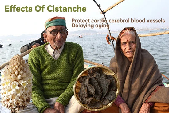 Protect cardio cerebral blood vessels Protect cardio cerebral blood vessels