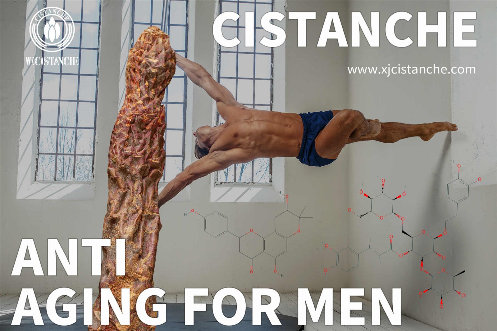 cistanche and tongkat ali reddit cistanche and tongkat ali reddit