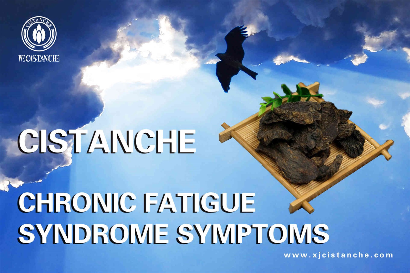 chronic fatigue (2)