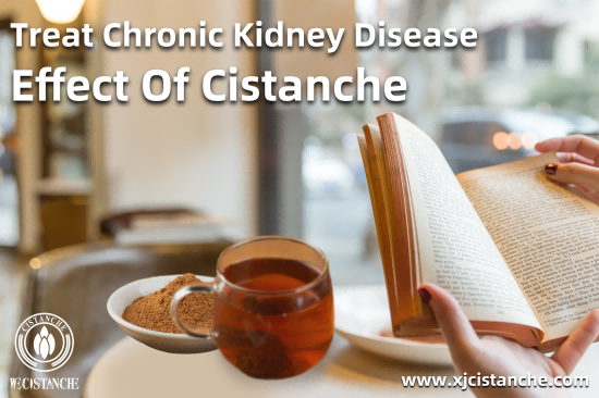 ORGANIC CISTANCHE EXTRACT WITH 25% ECHINACOSIDE AND 9% ACTEOSIDE ORGANIC CISTANCHE EXTRACT WITH 25% ECHINACOSIDE AND 9% ACTEOSIDE