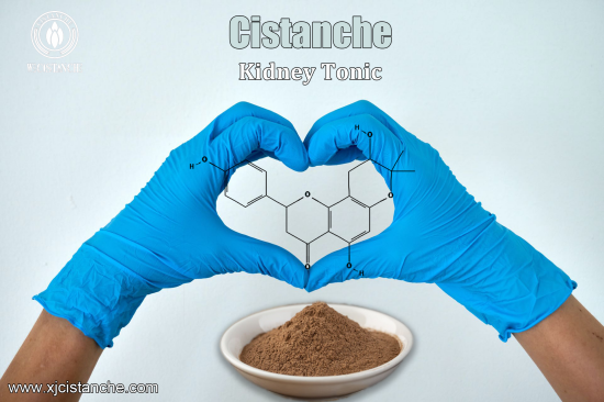 ORGANIC CISTANCHE EXTRACT WITH 25% ECHINACOSIDE AND 9% ACTEOSIDE ORGANIC CISTANCHE EXTRACT WITH 25% ECHINACOSIDE AND 9% ACTEOSIDE