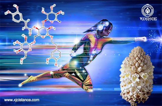 Echinoside, the main chemical component of Cistanche deserticola Echinoside, the main chemical component of Cistanche deserticola