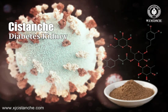 cistanche benefits for kidney function function