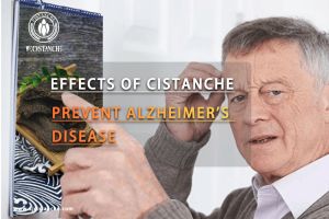 improve memory improve memory