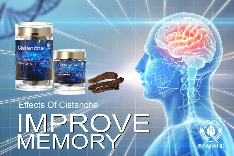 Cistanche tubulosa for improving memory Cistanche tubulosa for improving memory