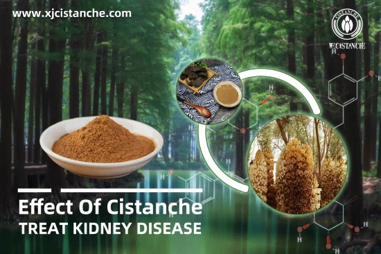 NATURAL HERBAL FORMULATION FOR ACUTE KIDNEY INJURY NATURAL HERBAL FORMULATION FOR ACUTE KIDNEY INJURY