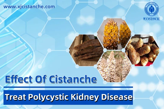 NATURAL HERBAL FORMULATION FOR ACUTE KIDNEY INJURY NATURAL HERBAL FORMULATION FOR ACUTE KIDNEY INJURY