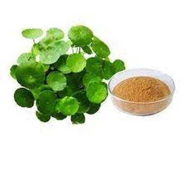 Powdwr Detholiad Centella Asiatica
