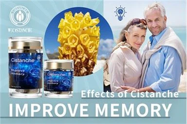 Cistanche: Yr Allwedd I Wella Cof ac Atal Clefyd Alzheimer