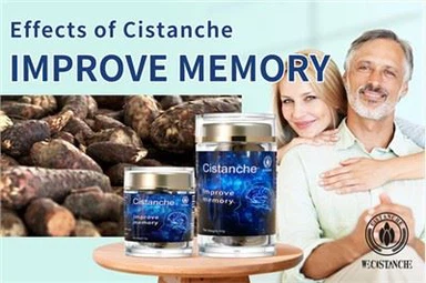 Gwella cof ac atal Clefyd Alzheimer dibynnu arno! Anialwch ginseng Cistanche